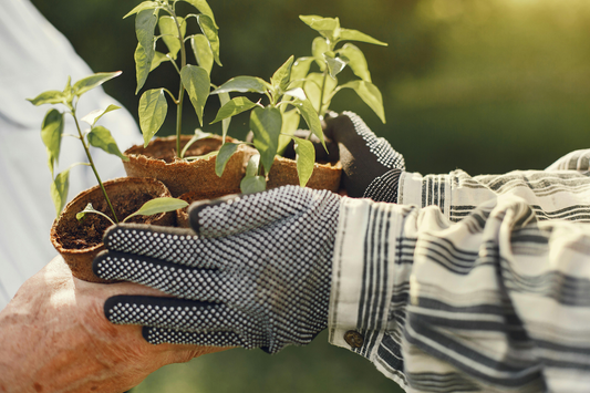 16 Popular Ways to Show Gratitude to Your Neighbor